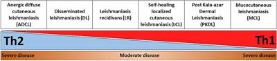 Mechanisms of Immunopathogenesis in Cutaneous Leishmaniasis And Post Kala-azar Dermal Leishmaniasis (PKDL)